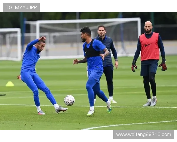 博主深度解析萨利巴成功恢复球队合练情况